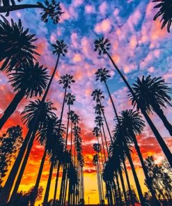 Los Angeles Palm Trees paint by numbers