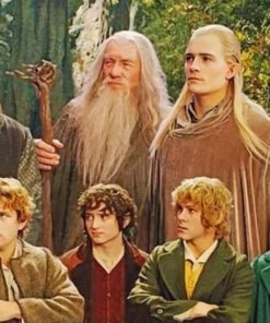 Lord Of The Rings Fellowship paint by numbers