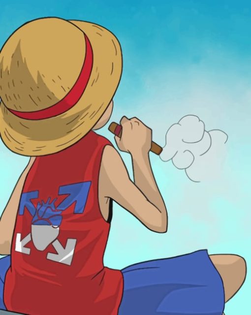 Luffy Character From One Peace painting by numbers