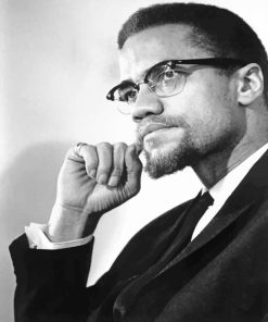 Malcolm X Black And White paint by numbers