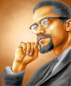 malcolm X paint by numbers