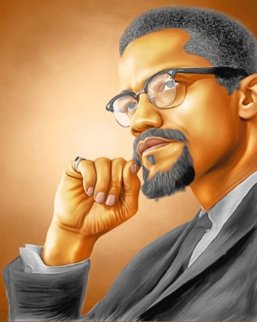 malcolm X paint by numbers