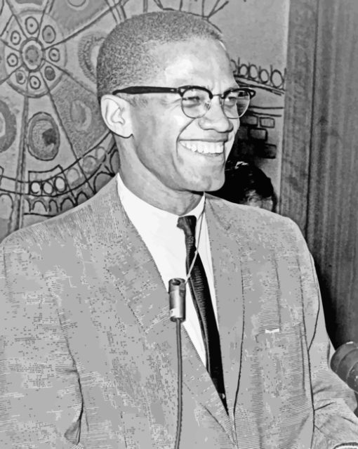 Malcolm X Smiling paint by numbers
