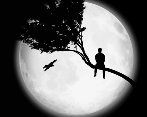 Man Watching Moon Silhouette paint by numbers