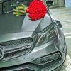 Mercedes With Roses paint by numbers