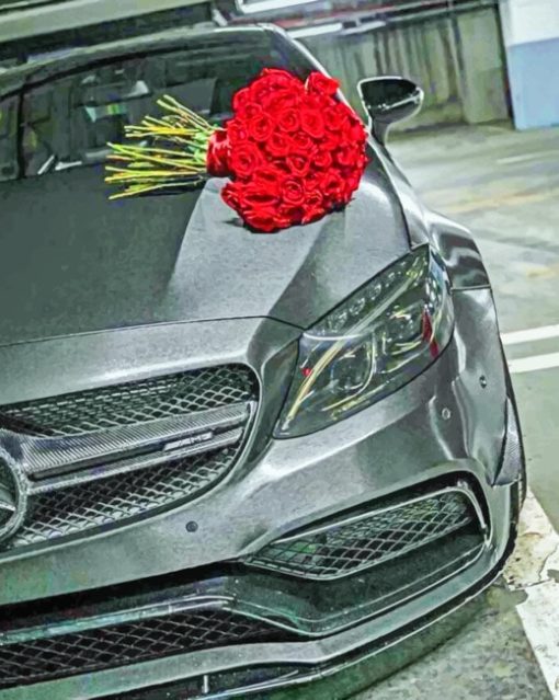 Mercedes With Roses paint by numbers