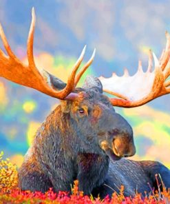 Moose With Big Horns paint by numbers