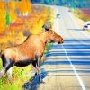 Big Moose On The Road paint by numbers