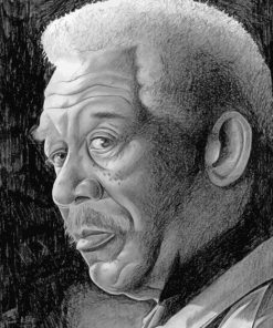 Morgan Freeman paint by numbers