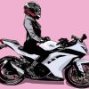Motorcycle Girl Art paint by numbers