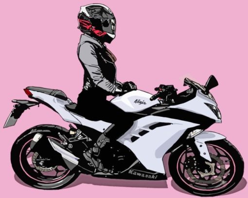 Motorcycle Girl Art paint by numbers