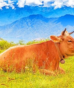 Brown Cow Sitting In Grassland paint by numbers