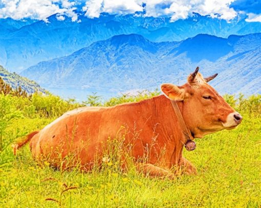 Brown Cow Sitting In Grassland paint by numbers