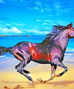 Mustang Horse On The Beach paint by numbers