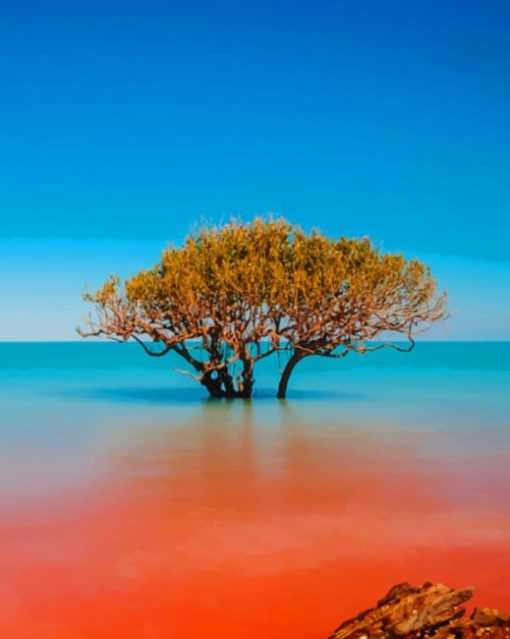 The Most Beautiful Places In Australia painting by numbers