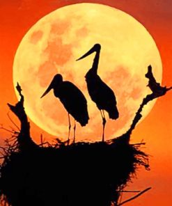Night Moon With Birds painting by numbers