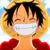 One Peace Luffy painting by numbers