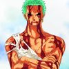 One Piece Zoro paint by numbers