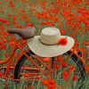 Orange Bike In A Field Of Flowers painting by numbers