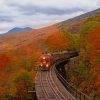 Orange Train Between Fall Trees painting by numbers