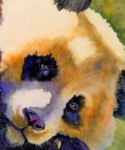 Close Up Painting Of Panda Bear painting by numbers