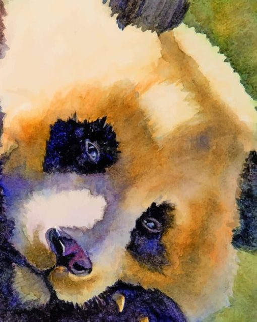 Close Up Painting Of Panda Bear painting by numbers
