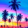 Palm Trees At Sunset paint by numbers