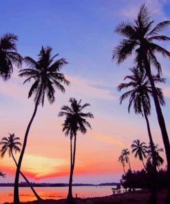 Palm Trees At Sunset paint by numbers