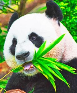 Panda Eating Leaves Paint by numbers