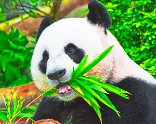Panda Eating Leaves Paint by numbers