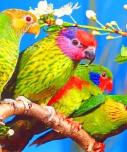 Parakeet Birds On Branch paint by numbers