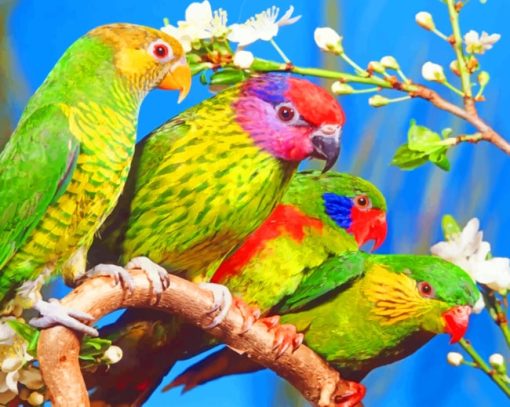 Parakeet Birds On Branch paint by numbers