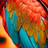 Bright Parrot Feather paint by numbers