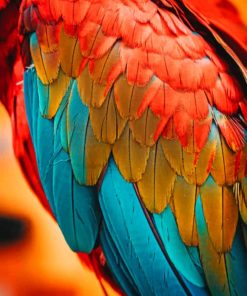 Bright Parrot Feather paint by numbers