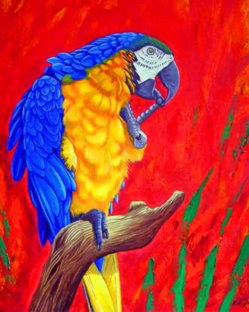 Colorful Parrot Drawing paint by numbers