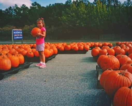 Girl In Pumpkin Field paint by numbers