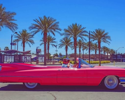 Classical Pink Convertible paint by numbers