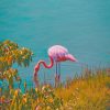 Pink Flamingo Near Grass Field painting by numbers