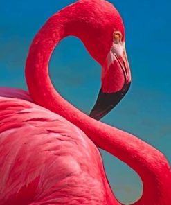Close Up Pink Flamingo painting by numbers