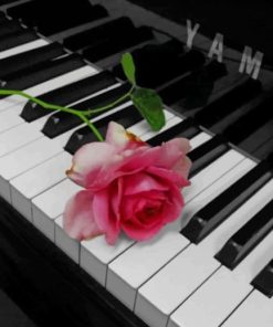 Pink Flower On Piano painting by numbers