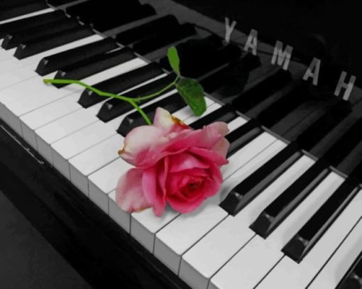 Pink Flower On Piano painting by numbers