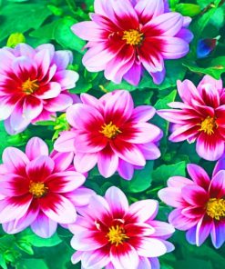 Pink Flowers painting by numbers