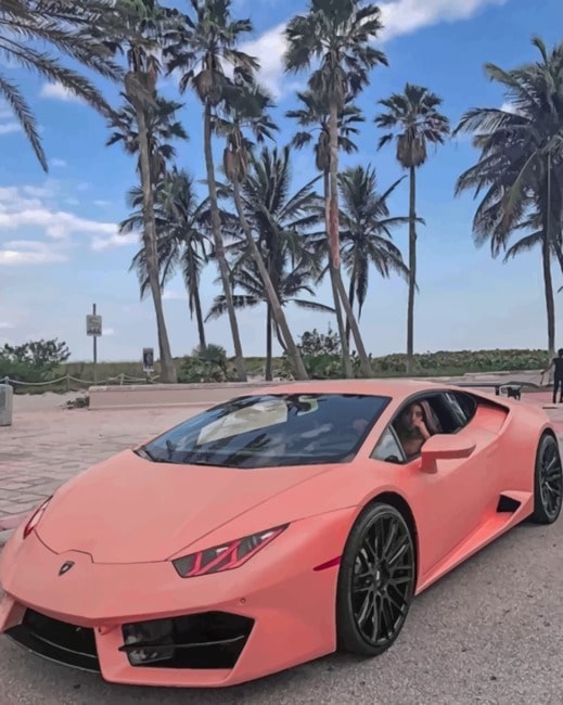Pink Lamborghini painting by numbers