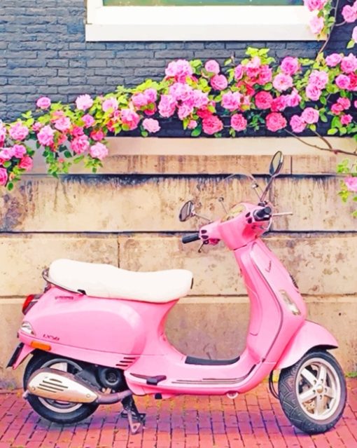 Pink Scooter paint by numbers