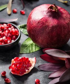 Pomegranate Artistic Photography painting by numbers
