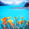 Pukaki Lake In New Zealand painting by numbers