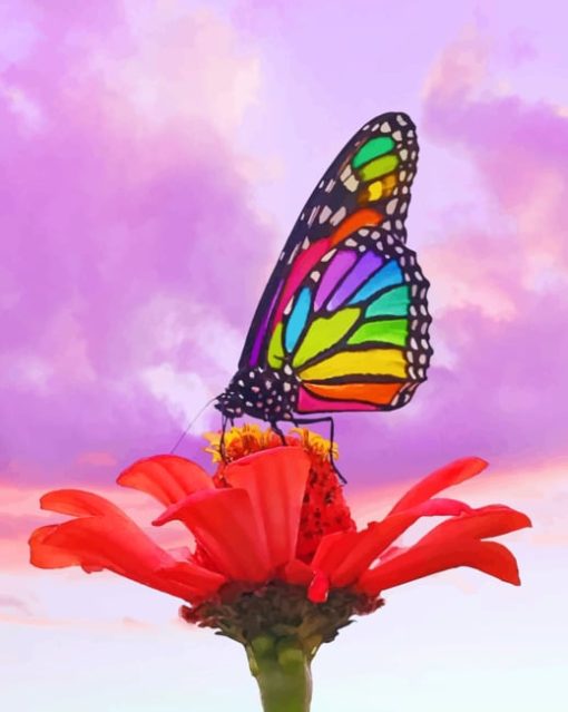 Rainbow Butterfly Aesthetic painting by numbers
