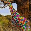 Rainbow Giraffe painting by numbers