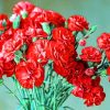 Red Petaled Flowers paint by numbers