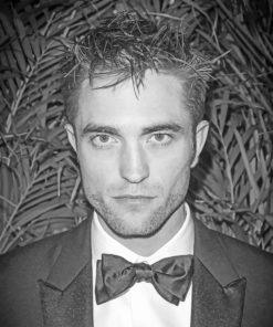 Robert Pattinson Black And White paint by numbers
